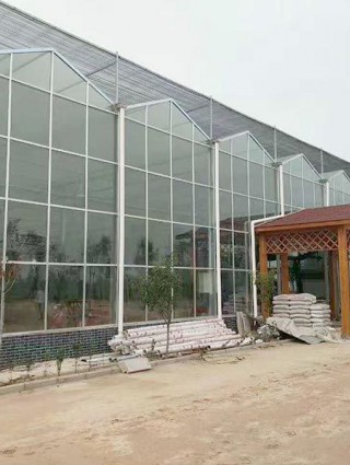 江西省贛州贛縣江口鎮(zhèn)，全玻璃溫室